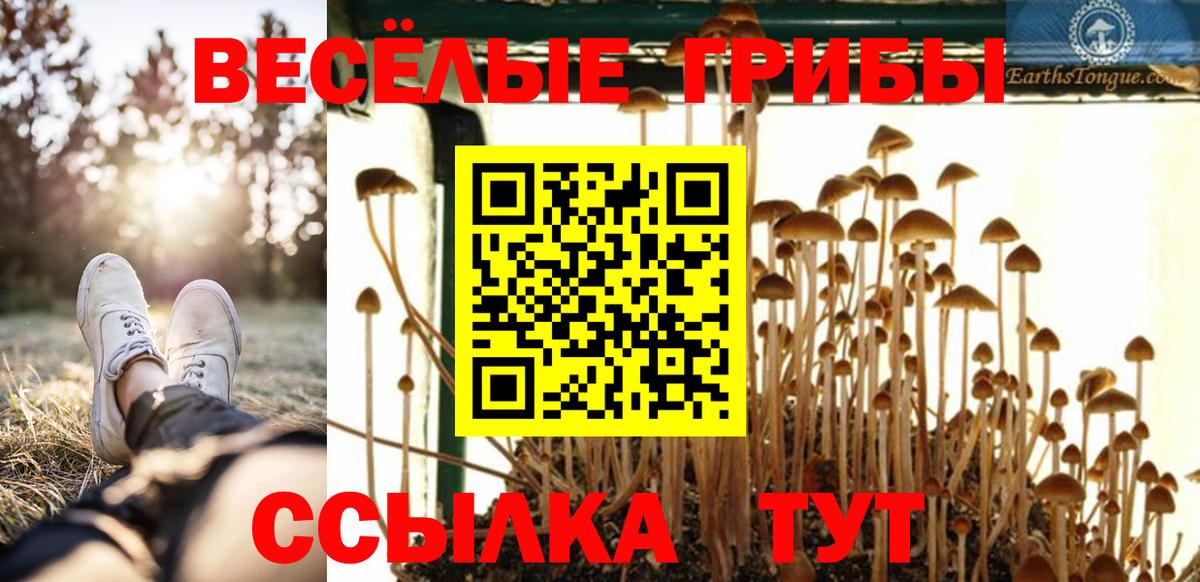 НБОМе Архангельск