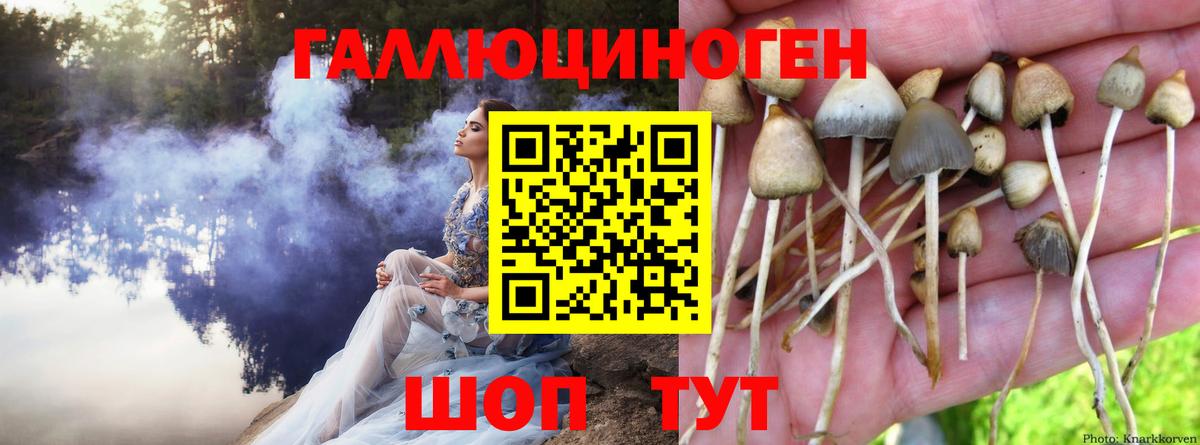 Alpha PVP СК   Архангельск  Cocaine  Вход с VPN  Экстази  ГАШИШ  Канабис  МЕФ   MDMA 
